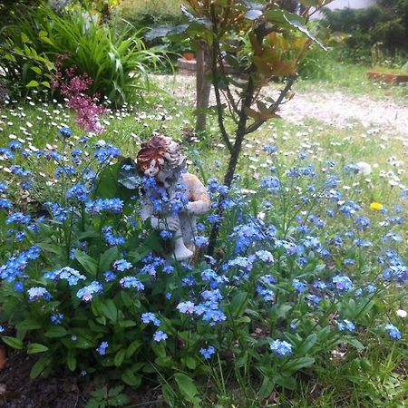 Bed and Breakfast Les 3 Roses Villeneuve-sur-Yonne Екстер'єр фото