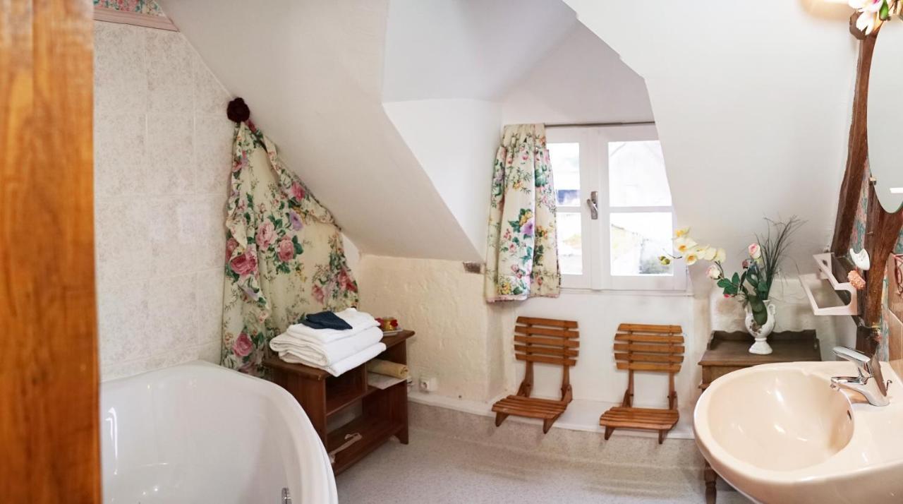 Bed and Breakfast Les 3 Roses Villeneuve-sur-Yonne Екстер'єр фото