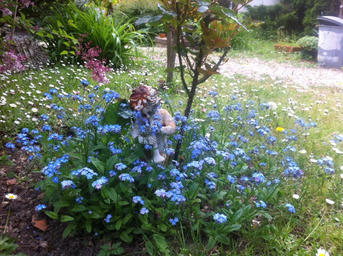 Bed and Breakfast Les 3 Roses Villeneuve-sur-Yonne Екстер'єр фото