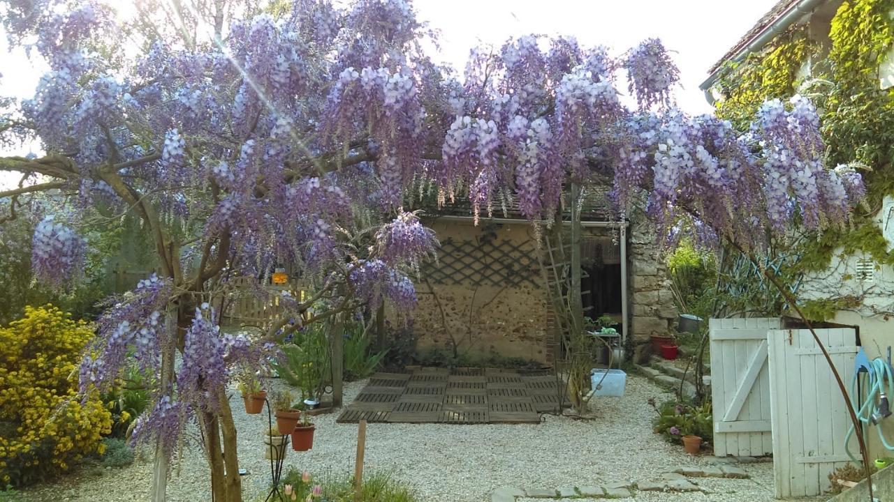 Bed and Breakfast Les 3 Roses Villeneuve-sur-Yonne Екстер'єр фото